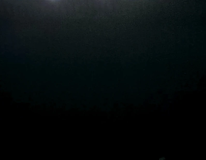 Absolute Black
