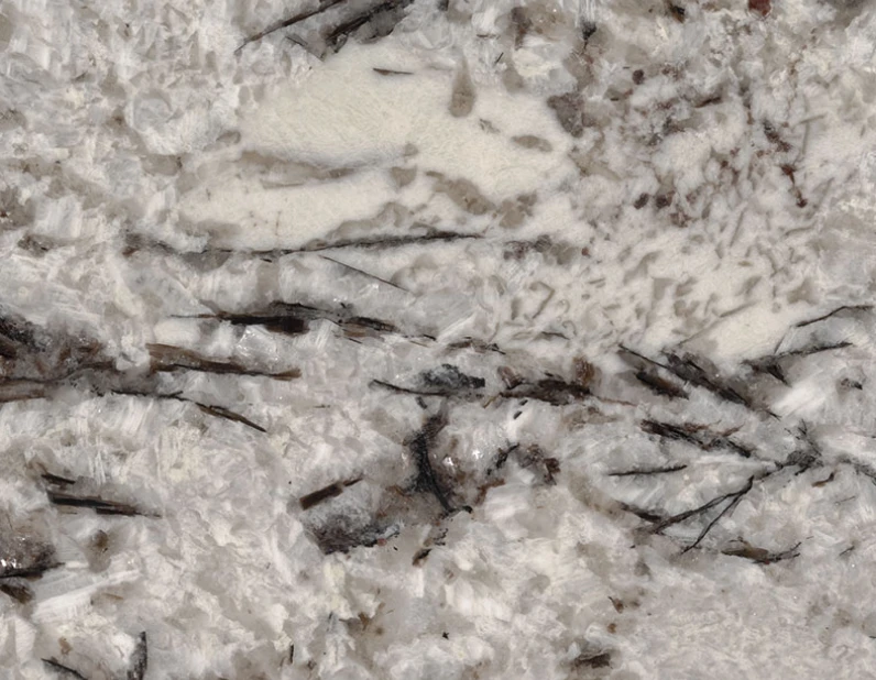 Delicatus White