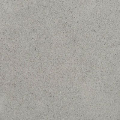 Arctic Gray